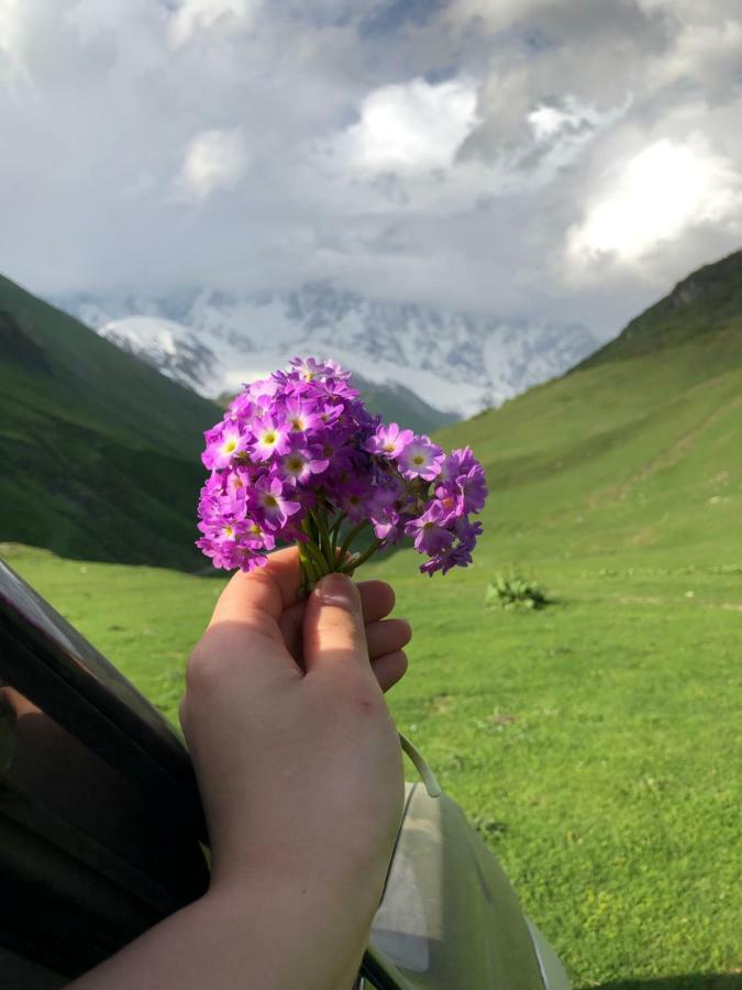 Guesthouse Angelina Ušguli Exteriér fotografie